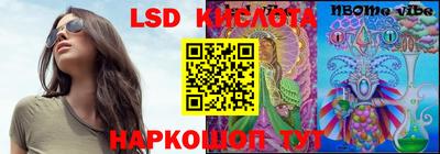 прущие грибы Кингисепп