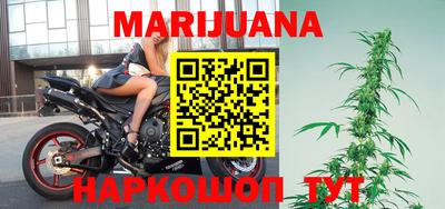 прущие грибы Кингисепп